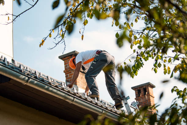 Best Roof Replacement Cost  in Winchester, TN